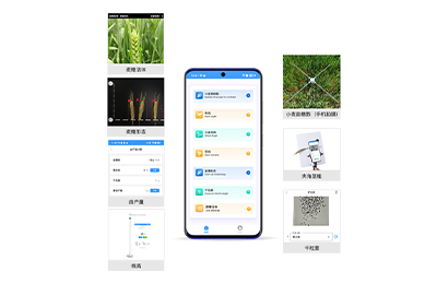 小麦表型分析系统IN-XM04