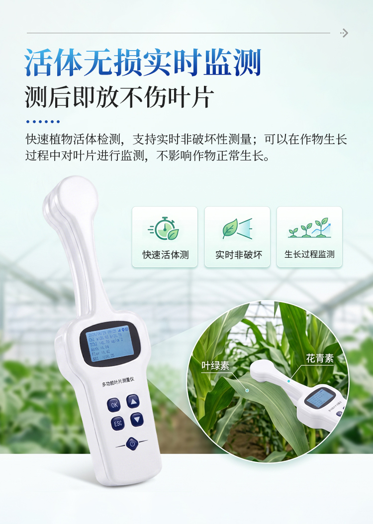 多功能叶片测量仪