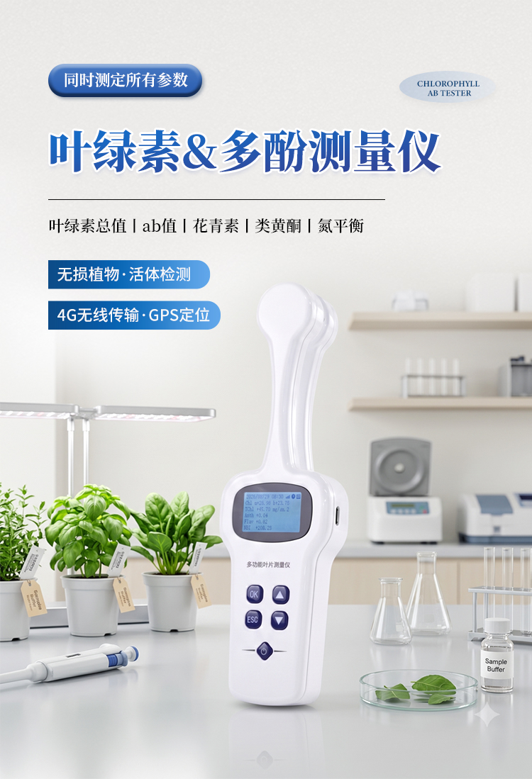 植物叶绿素&多酚测量仪