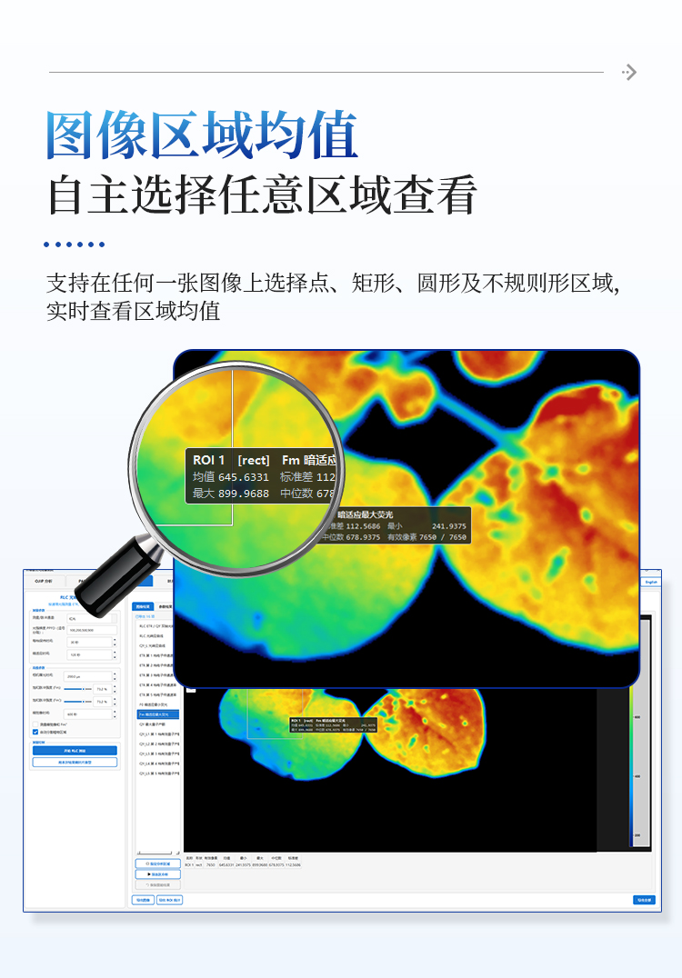 叶绿素荧光成像系统 叶绿素荧光成像系统